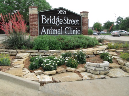 southlake animal hospital hours